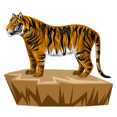 Tiger © sandal1986