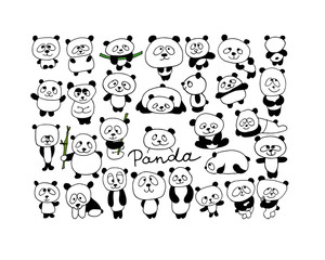 Fototapeta premium Funny pandas collection, sketch for your design