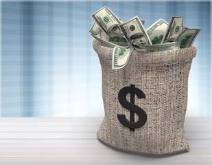 Money bag.