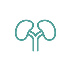 Kidneys icon sign