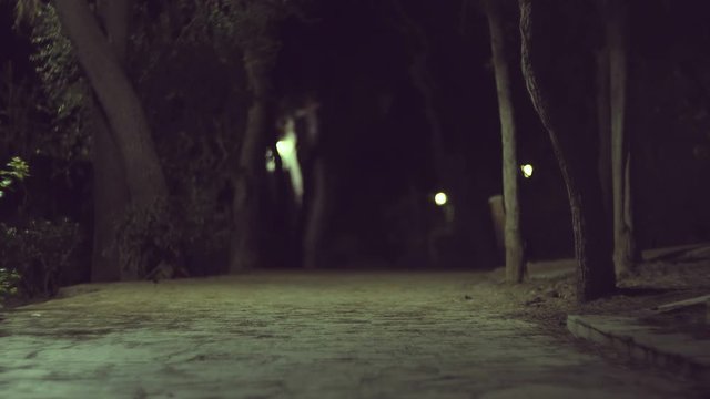 4K Scary ominous  dark urban park at night