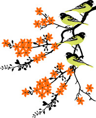 tree branches with birds