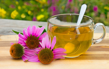 Cup of herbal tea from echinacea.