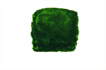 green brush stroke