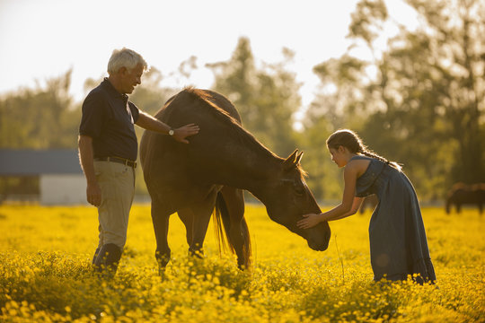 Caucasian man and granddaughter petting horse in field