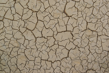 Land with dry and cracked ground texture