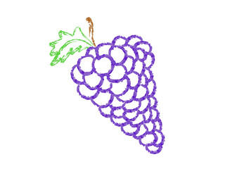 Vector Grapes in Chalk Style