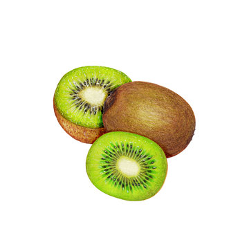 Hand drawn illustration of kiwi fruit