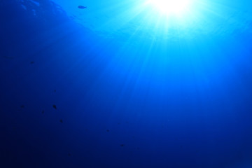 Underwater blue background photo