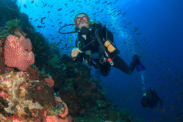 Naklejka na ściany i meble Scuba dive coral reef underwater ocean sea