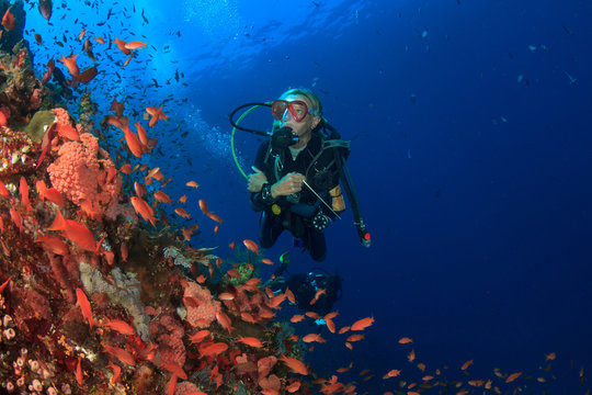 Scuba dive coral reef underwater ocean sea