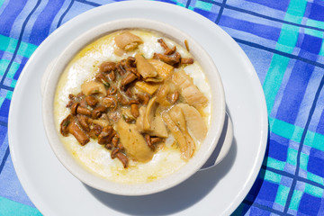 Polenta with melted cheese and mushrooms
