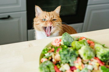 Red cat looking at raw vegetables.