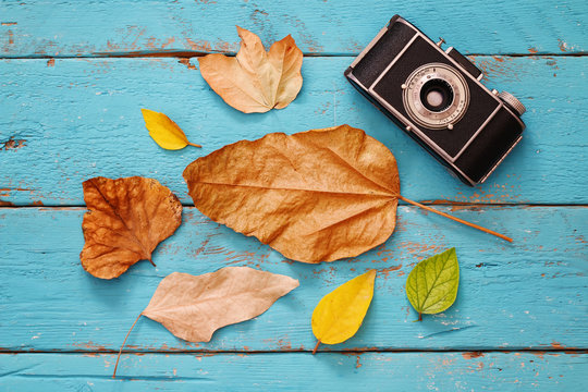 Autumn background with dry leaves and old camera