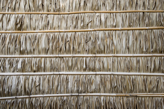 Wall made of Nipa Palm leaves, texture and background