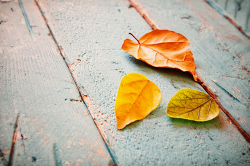 Autumn background with dry leaves on wooden table.