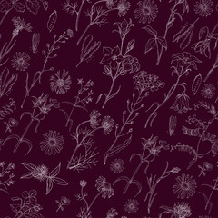 Seamless pattern with herbs and wild flowers