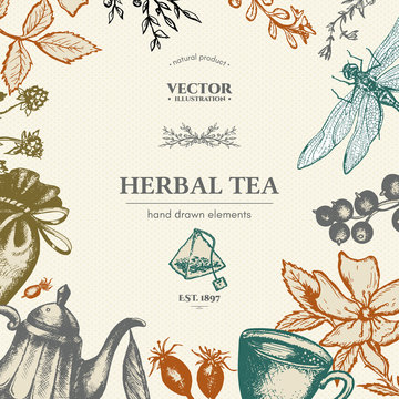 Herbal tea vector card design