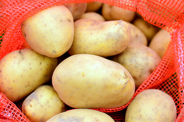 Raw potato. Ripe potatoes in sack, close up