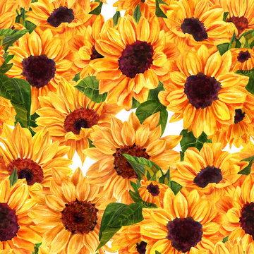 Seamless texture with hand drawn vibrant watercolor sunflowers