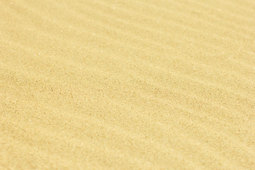 Fototapeta na wymiar Sand Texture./Sand Texture.