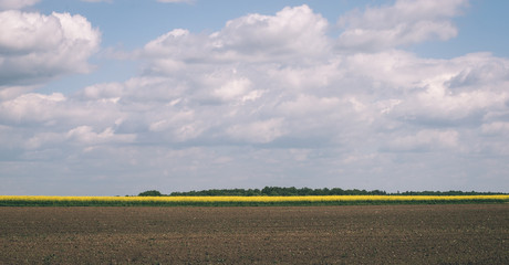 Obraz premium Dark storm clouds over meadow with green grass - vintage effect