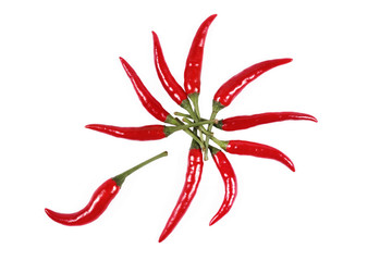 Red chilis isolated on white background.