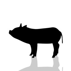 Vector silhouette of pig.