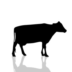 Vector silhouette of cow.