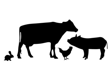 Vector silhouette of farm animal.