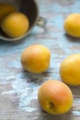Apricots rolled out on rustic wooden surface from aluminum mug.