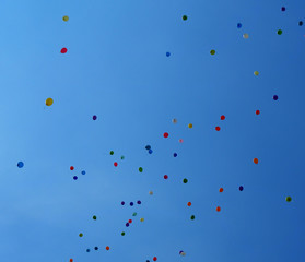 Multi colored balloons on a background of the sky