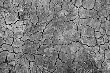 black Dry ground wallpaper