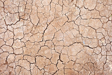 Dry ground wallpaper