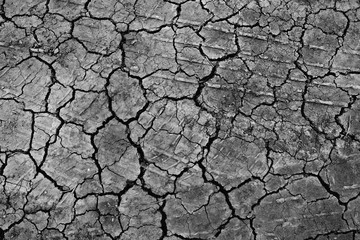 black Dry ground wallpaper