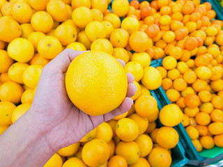 Fresh oranges in the market