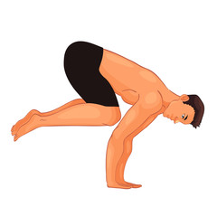 handsome young man in various poses of yoga, cartoon style vector illustration isolated on white background. Fit and strong young man doing yoga, collection of asanas, healthy lifestyle
