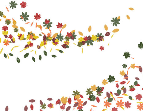 vector illustration autumn leaves background with yellow green red brown orange on a white background