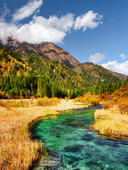Beautiful river with azure crystal clear water among fall fields