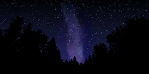 Naklejka premium Night sky with stars and milky way.Vector illustration