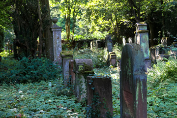 verwachsene Gräber