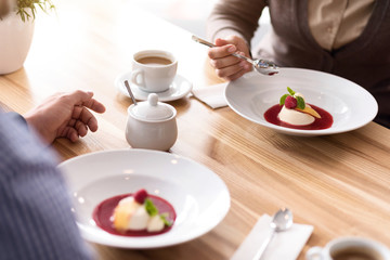 Pleasant colleagues having a lunch
