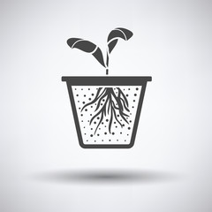 Seedling icon