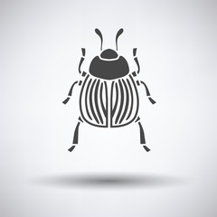Colorado beetle icon