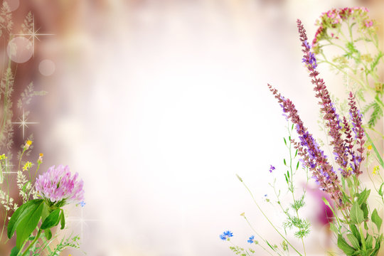 Beautiful wildflowers frame design. Pastel blurred background.