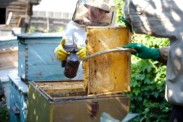 Beekeeper checking a beehive to ensure health of the bee colony or collecting honey. Healthy lifestyle