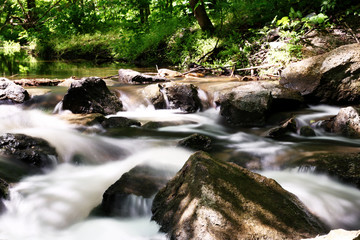 Creek with rocks in a forest