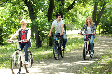 Beautiful family on bike ride in park