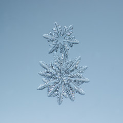 crystal natural macro snowflake