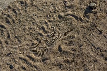 Fototapeta na wymiar Footprint of shoe